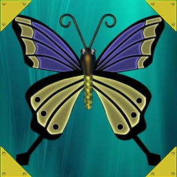 Butterfly Maker