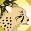 create_a_cheetah