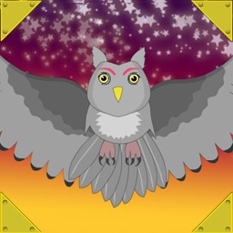 create a owl