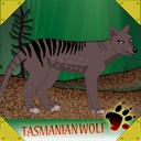 tasmanian wolf thylacine