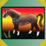 horse generator dress up